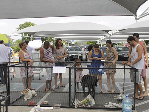 Evento de Adoo de Ces e Gatos no Carrefour / Contagem