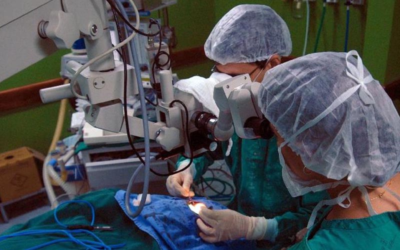 Transplante (Elza Fiza/Arquivo Agncia Brasil)